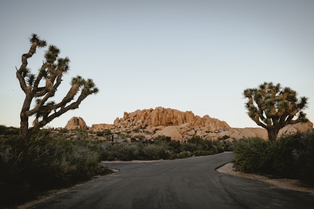 Solar panels and wind turbines in winter landscape